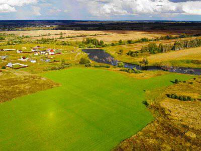 Васильково Васильково