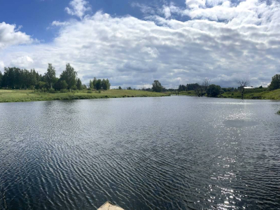 Васильково Васильково