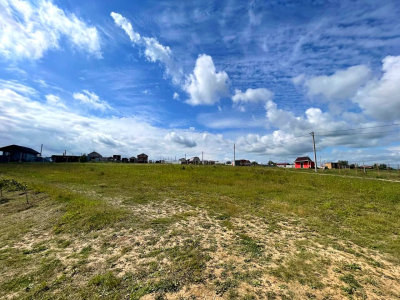 Васильково Васильково