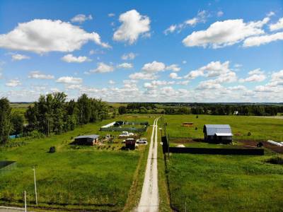 Васильково Васильково