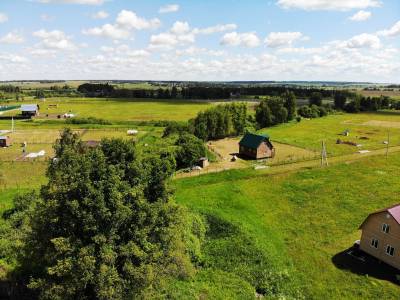 Васильково Васильково