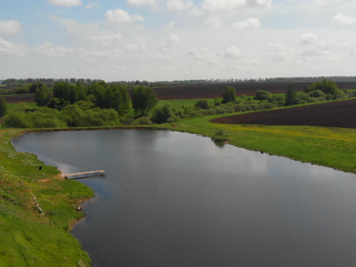 Васильково Васильково