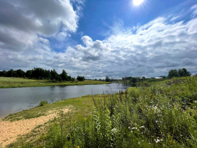 Васильково Васильково