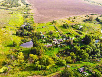 Васильково Васильково