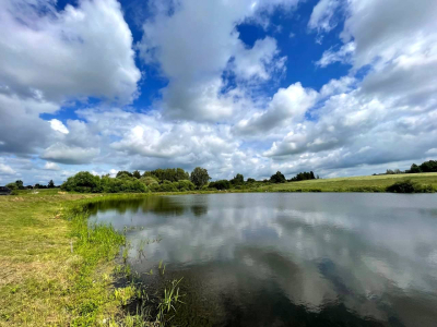 Васильково Васильково