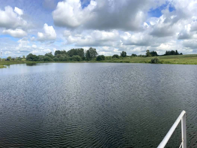 Васильково Васильково