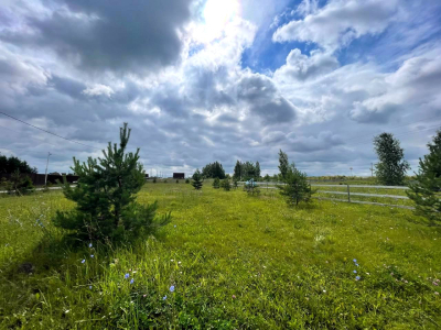 Васильково Васильково