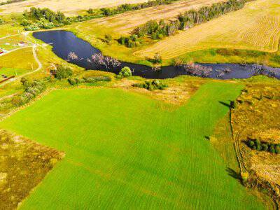 Васильково Васильково