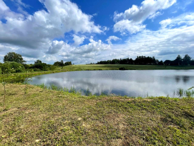 Васильково Васильково