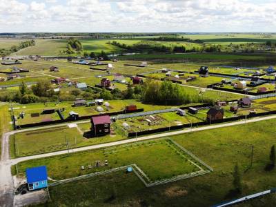 Васильково Васильково