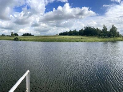 Васильково Васильково