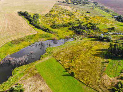 Васильково Васильково