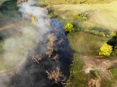 Васильково Васильково