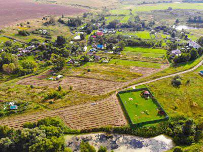 Васильково Васильково