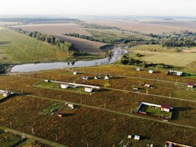 Васильково Васильково