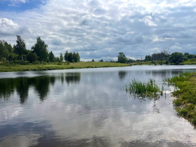 Васильково Васильково