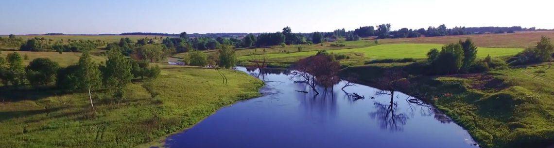 Водоем, в котором много рыбы