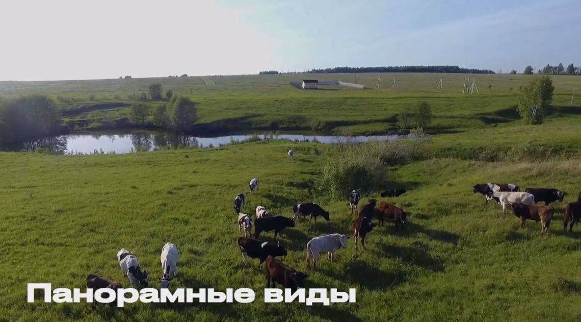 Панорамные виды в д Дмитриевское