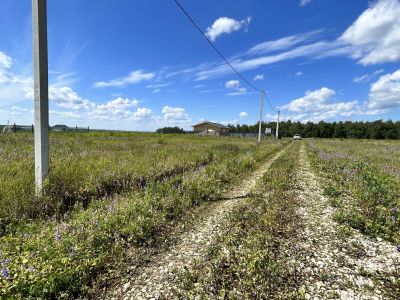 Дмитриевское Дмитриевское