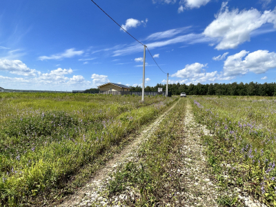 Дмитриевское Дмитриевское
