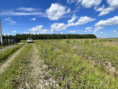 Дмитриевское Дмитриевское