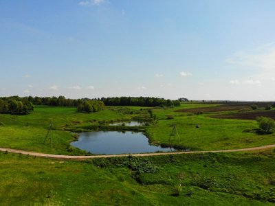 Дмитриевское Дмитриевское