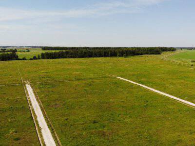 Дмитриевское Дмитриевское