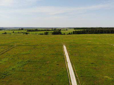 Дмитриевское Дмитриевское