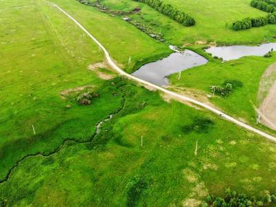 Дмитриевское Дмитриевское