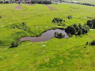 Дмитриевское Дмитриевское