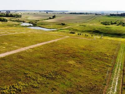 Дмитриевское Дмитриевское