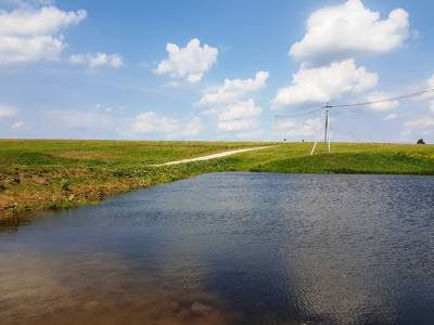 Дмитриевское Дмитриевское