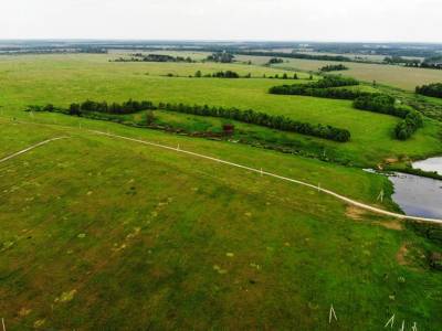 Дмитриевское Дмитриевское