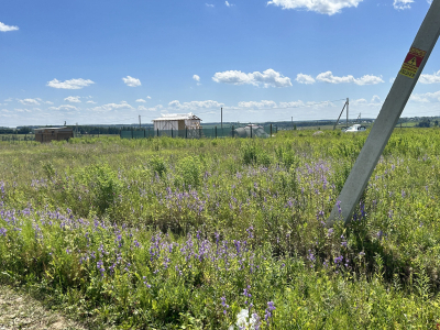 Дмитриевское Дмитриевское