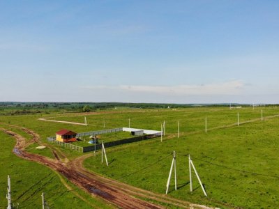 Дмитриевское Дмитриевское