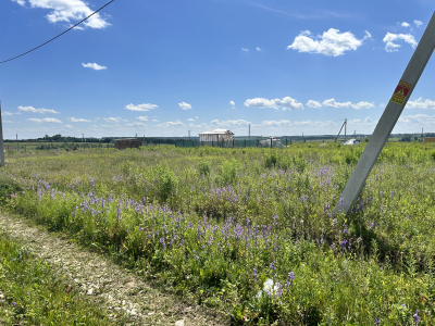 Дмитриевское Дмитриевское