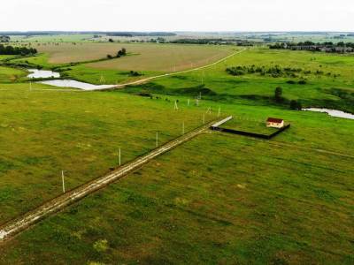 Дмитриевское Дмитриевское