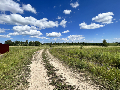 Дмитриевское Дмитриевское