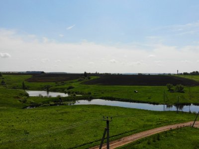 Дмитриевское Дмитриевское