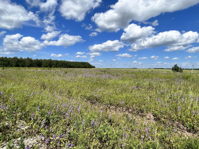 Дмитриевское Дмитриевское