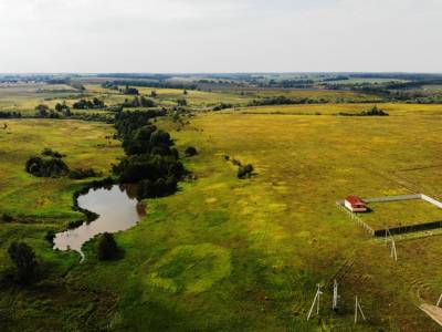 Дмитриевское Дмитриевское