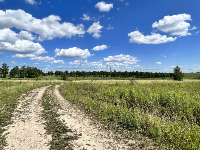 Дмитриевское Дмитриевское