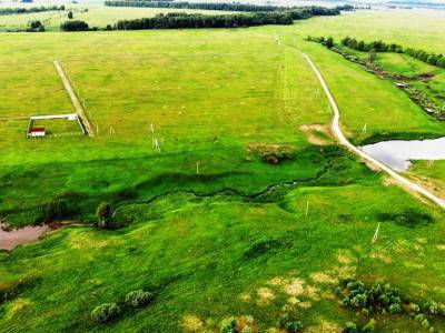 Дмитриевское Дмитриевское