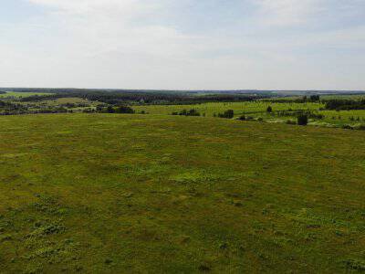 Дмитриевское Дмитриевское