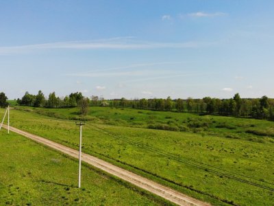 Дмитриевское Дмитриевское