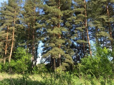 Крюково Крюково