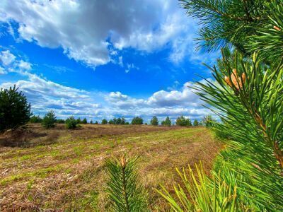 Крюково Крюково