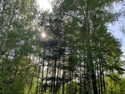 Крюково Крюково