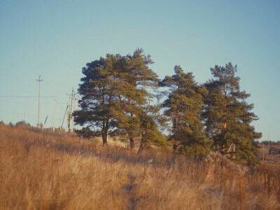 Крюково Крюково