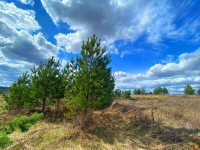 Крюково Крюково